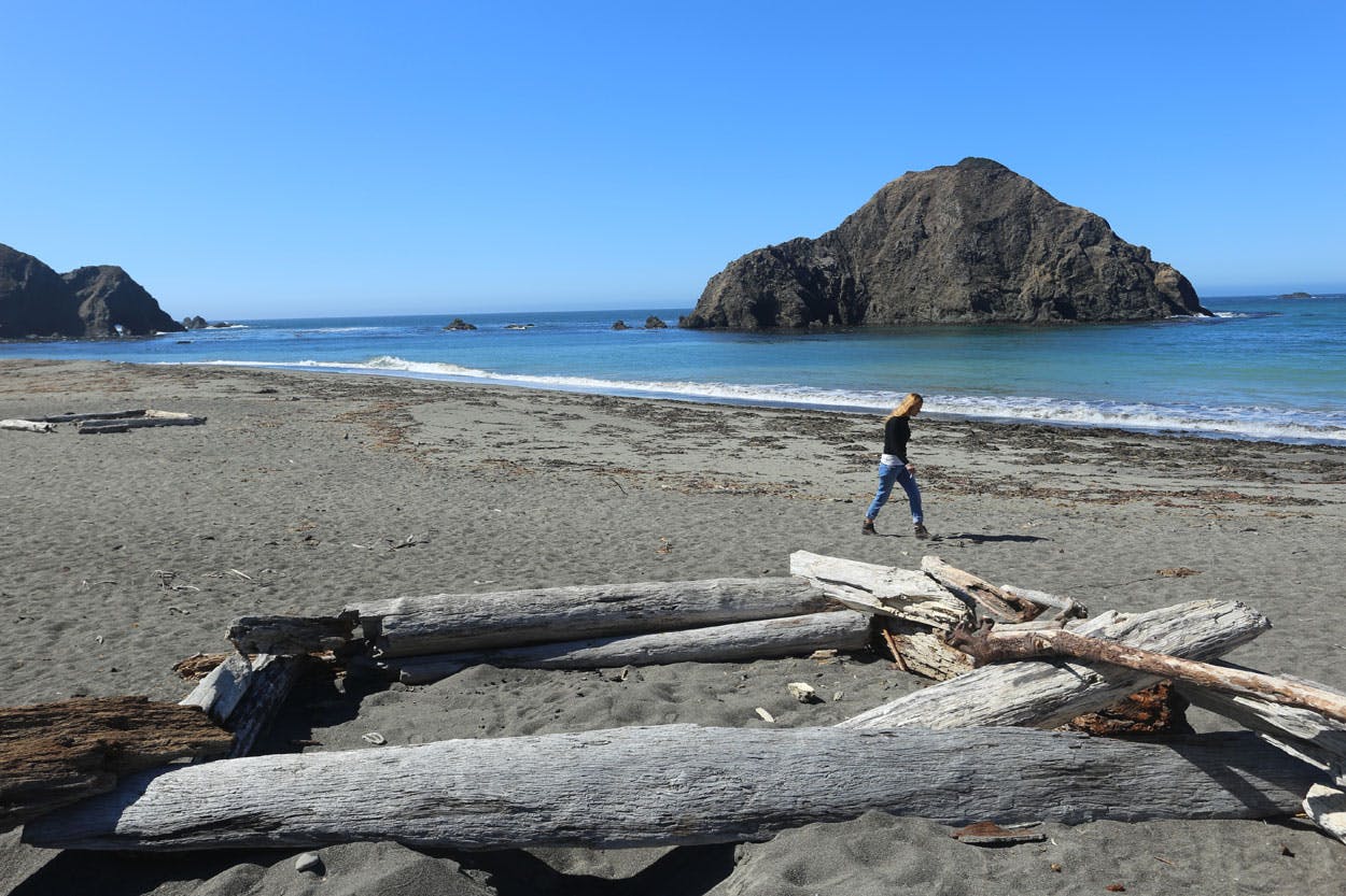 Woman walking by driftwood at Greenwood State Beach in Elk, Northern California near Mendocino 