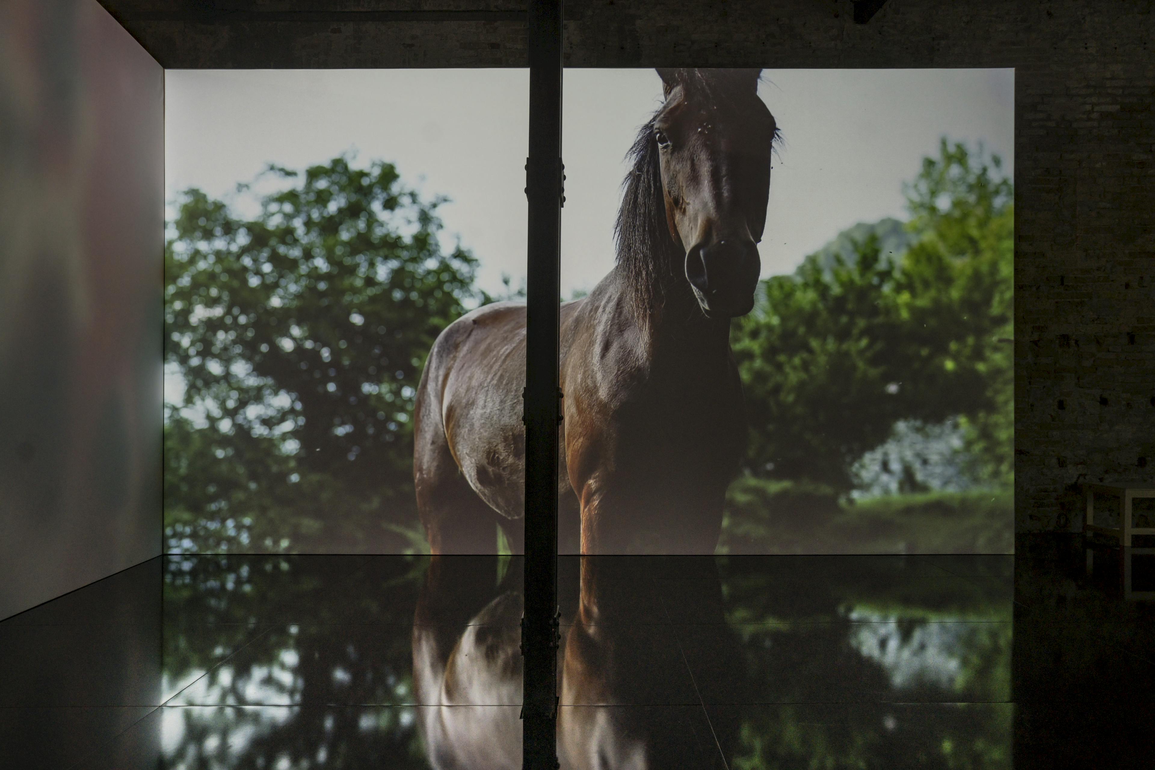 Progetto espositivo Padiglione Messico per Biennale Arte 2024 in mostra all'Arsenale di Venezia