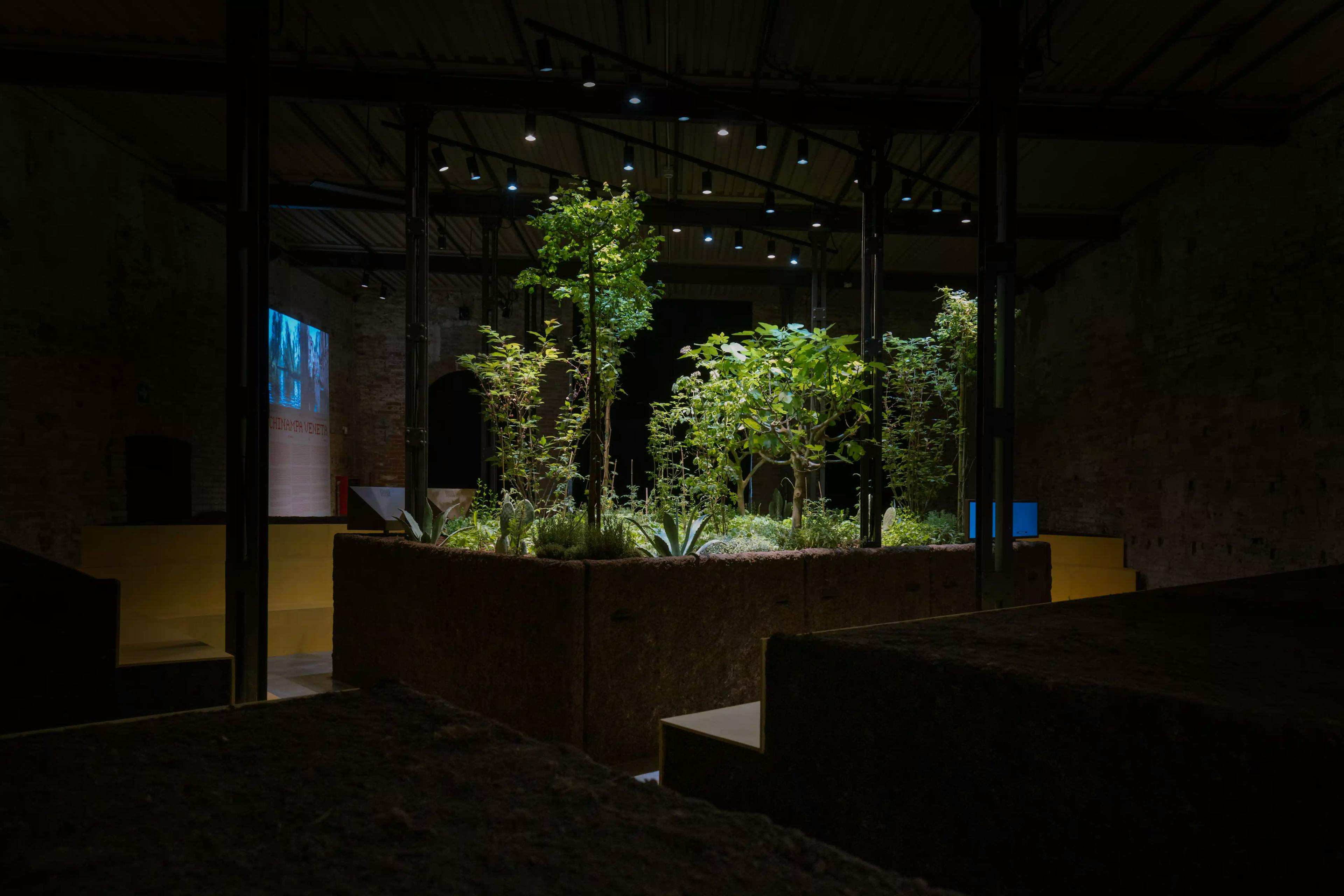 Vista complessiva dell'installazione prodotta e coordinata da We Exhibit per il Padiglione Messico alla Biennale di Venezia 2025