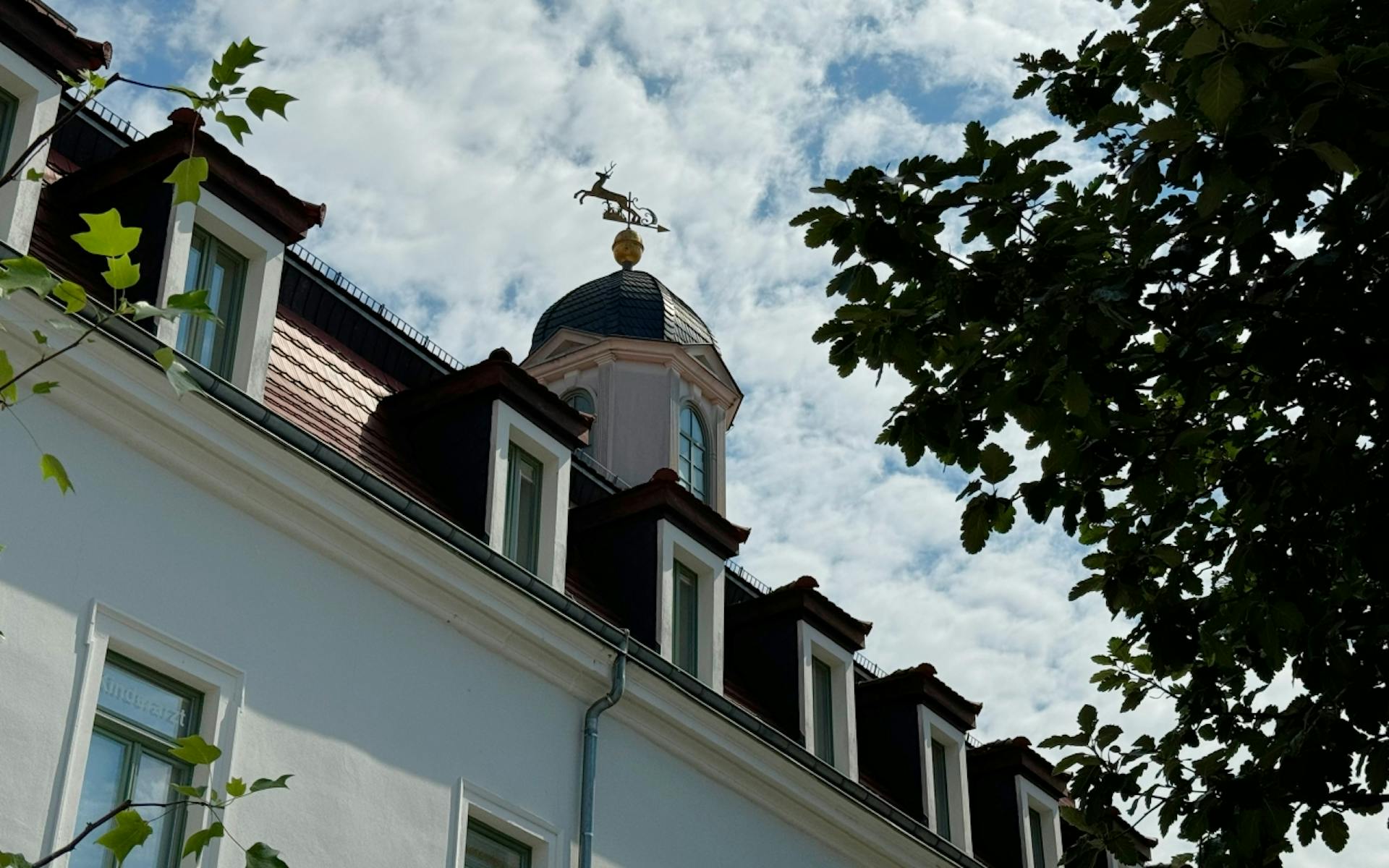 Start | Weisser Hirsch Dresden