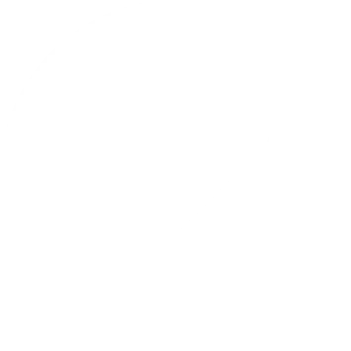 Key Point Icon