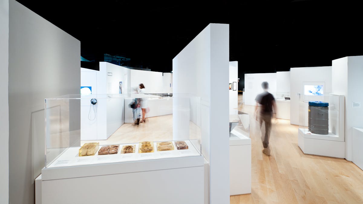 Photograph of the Brains: The Mind as Matter gallery space with display cases and visitors walking through the space.