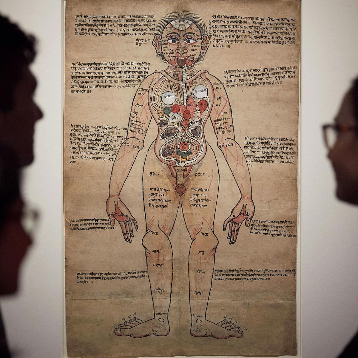 Visitors to the Ayurvedic Man exhibition view the Ayurvedic Man painting
