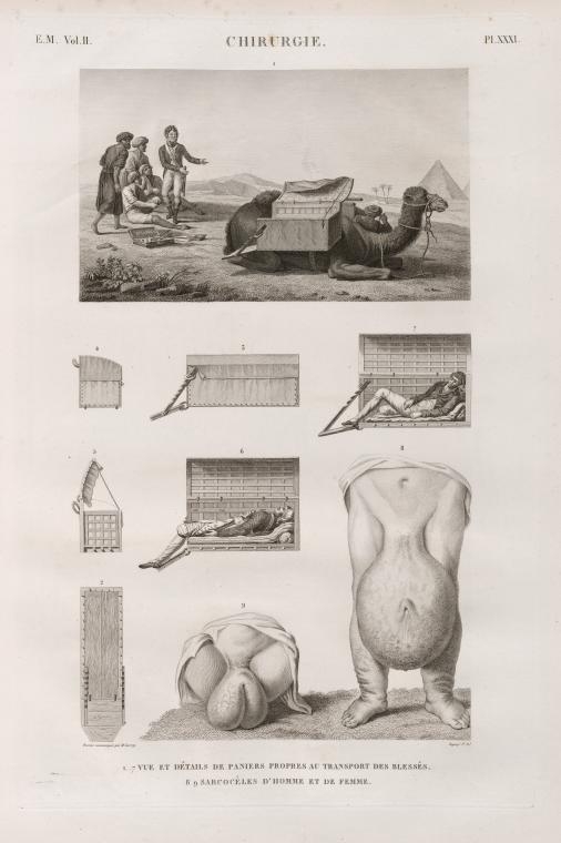 Page from book with an image of a camel crouching with a number of men. Below are diagrams of the camel and its side boxes.