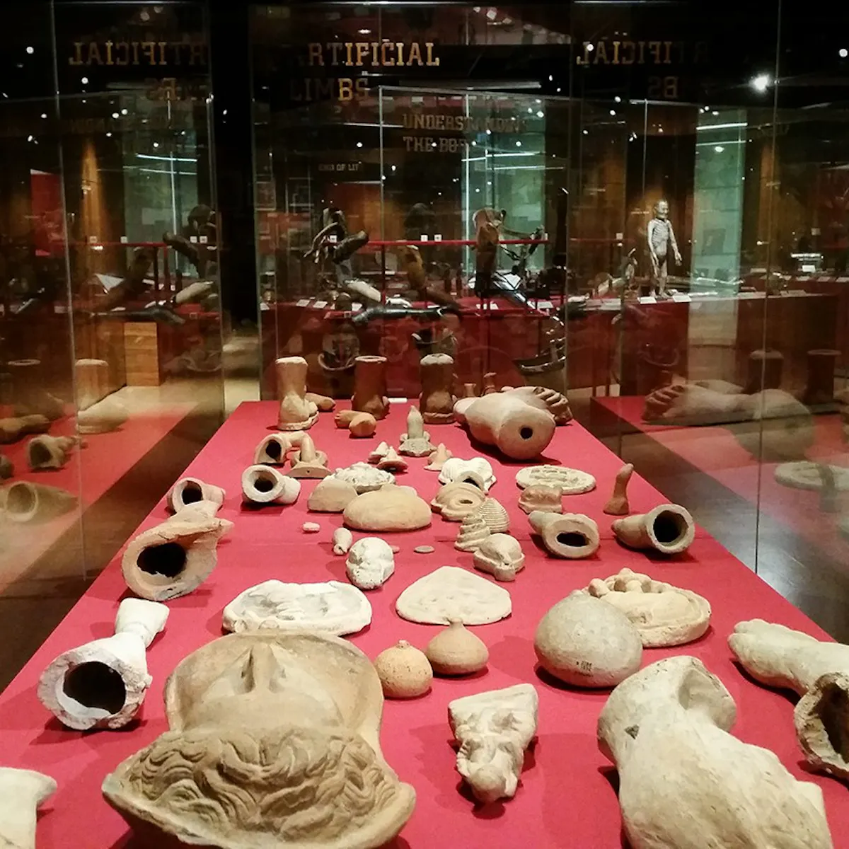 A glass case of sculpture fragments in ‘Medicine Man’ at Wellcome Collection