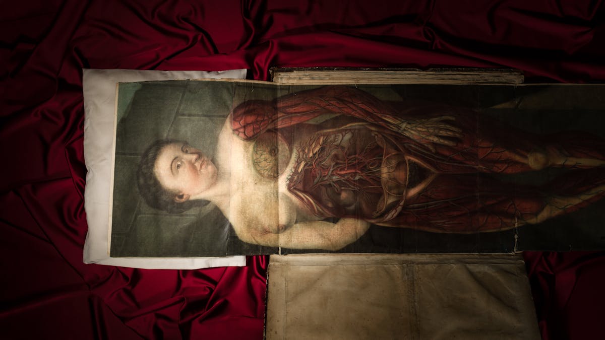 Colour photograph of an anatomy manuscript engraved by Gautier D'Agoty. The manuscript has been folded out from its book, and the head of the female body depicted rests upon a cushion. Underneath the manuscript is a rumpled, vivid red satin fabric.