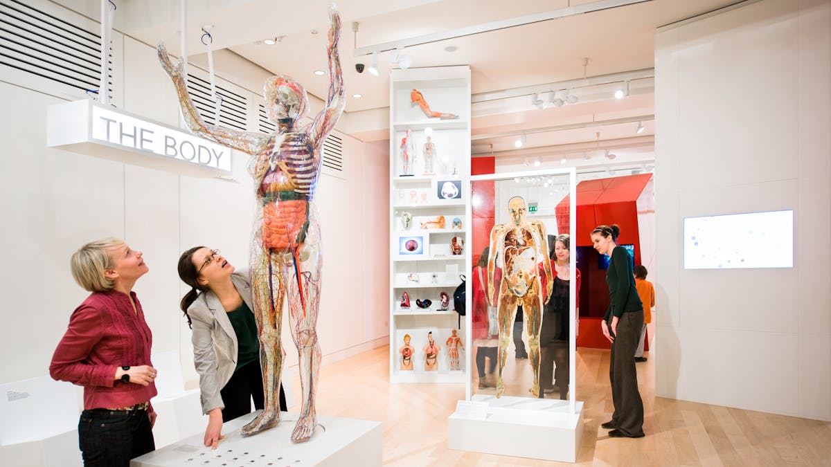 Photograph of the Medicine Now exhibition space at Wellcome Collection with visitors looking at the exhibits.