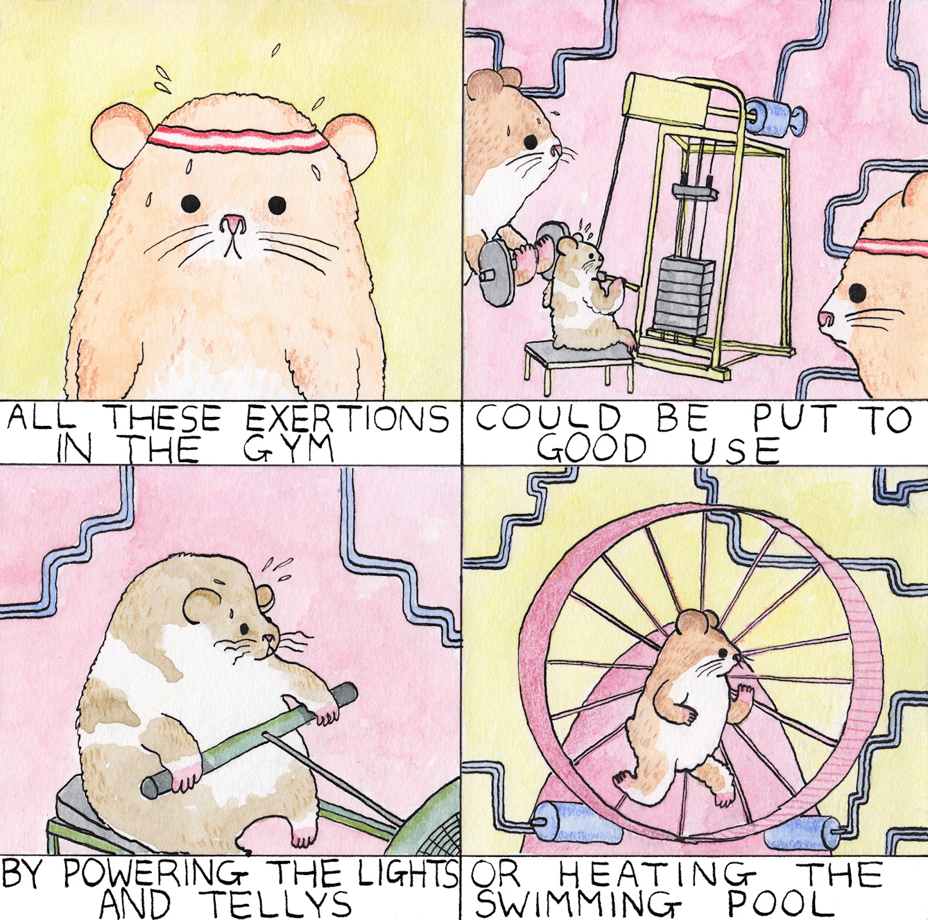 Gym comic by Rob Bidder