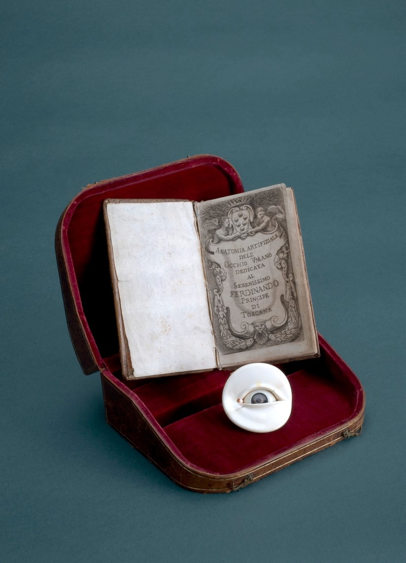 Image of small red case with an ivory eye model inside and small book