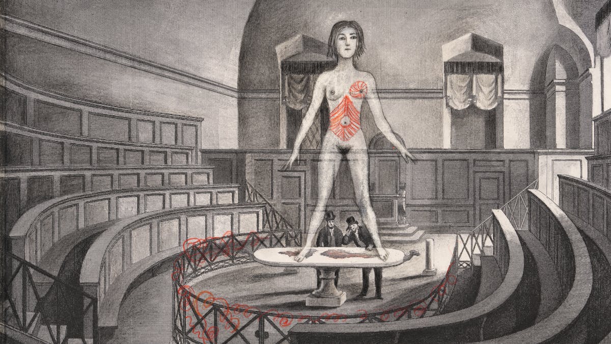Pencil artwork drawn over an engraving depicting an old anatomy theatre with two men in the centre, by a table looking up towards a large (in scale) unclothed woman standing on the table, arms held away from her body. The whole scene is black and white apart from her torso and left breast, and thin cords woven into some railings which are tinted red.