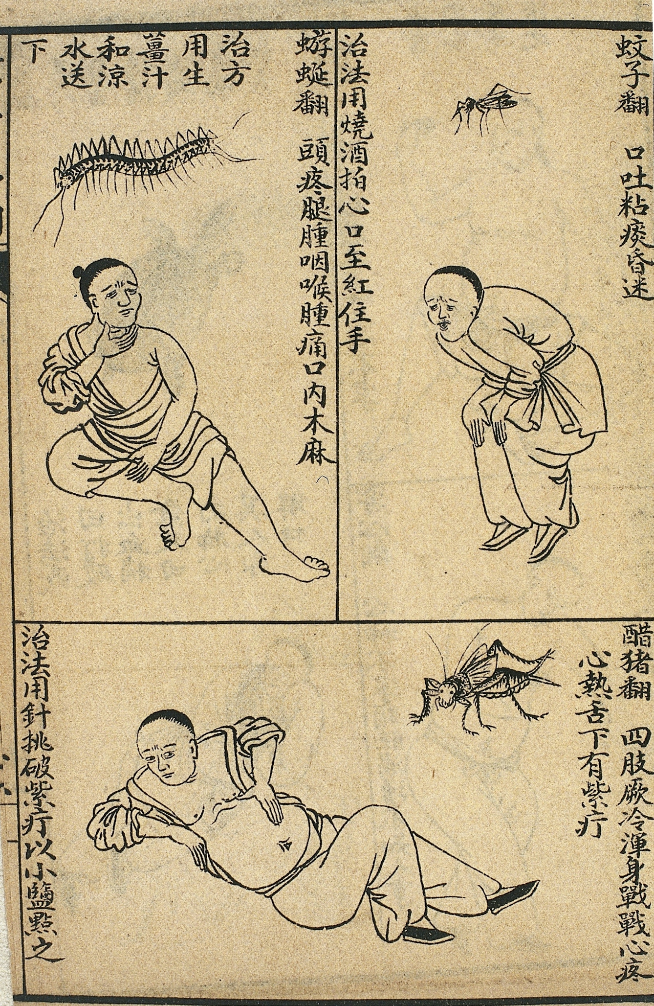 Early C20 Chinese Lithograph: 'Fan' diseases. Top left is a man clutching his throat and stomach with a millipede above him. Top right is a man doubled over with a mosquito above him. Bottom is a man reclined with his hand on his stomach with some sort of fly above him. All surrounded by Chinese characters.