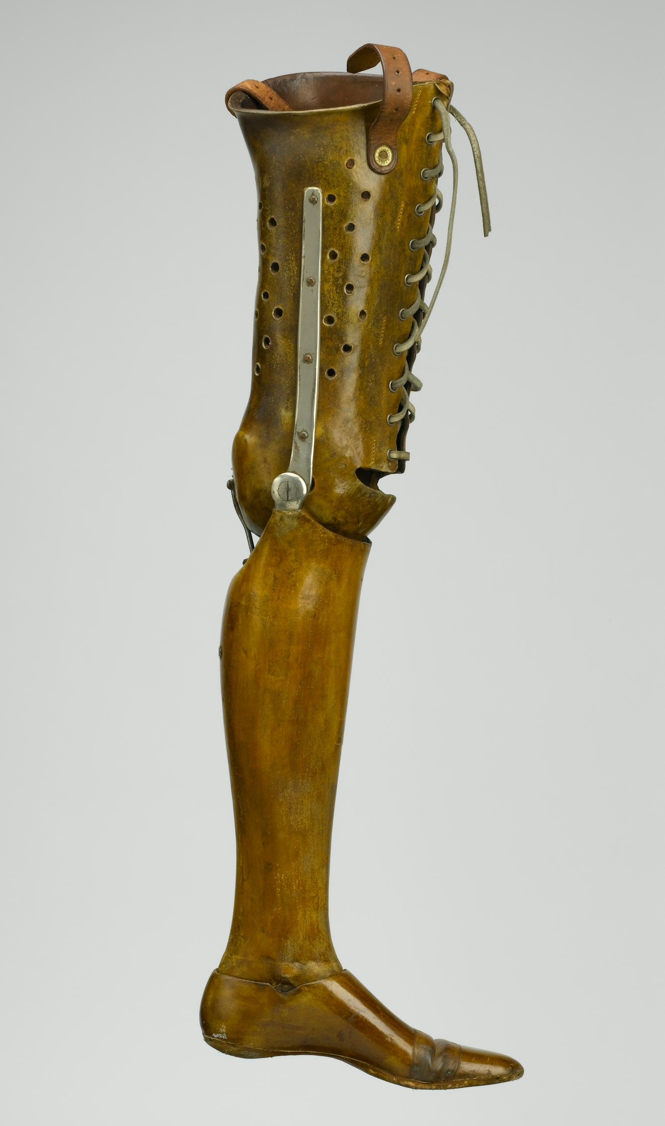 The leather corset at the top of this left leg secures the prosthesis to the thigh. It's perforated so the wearer doesn't get too hot. Inside the calf is a v-shaped metal bar attached to a spring. This prevents the wearer falling forward, but allows them to walk with comfort. The ankle and knee joints are lockable, and the toes are made of flexible leather.