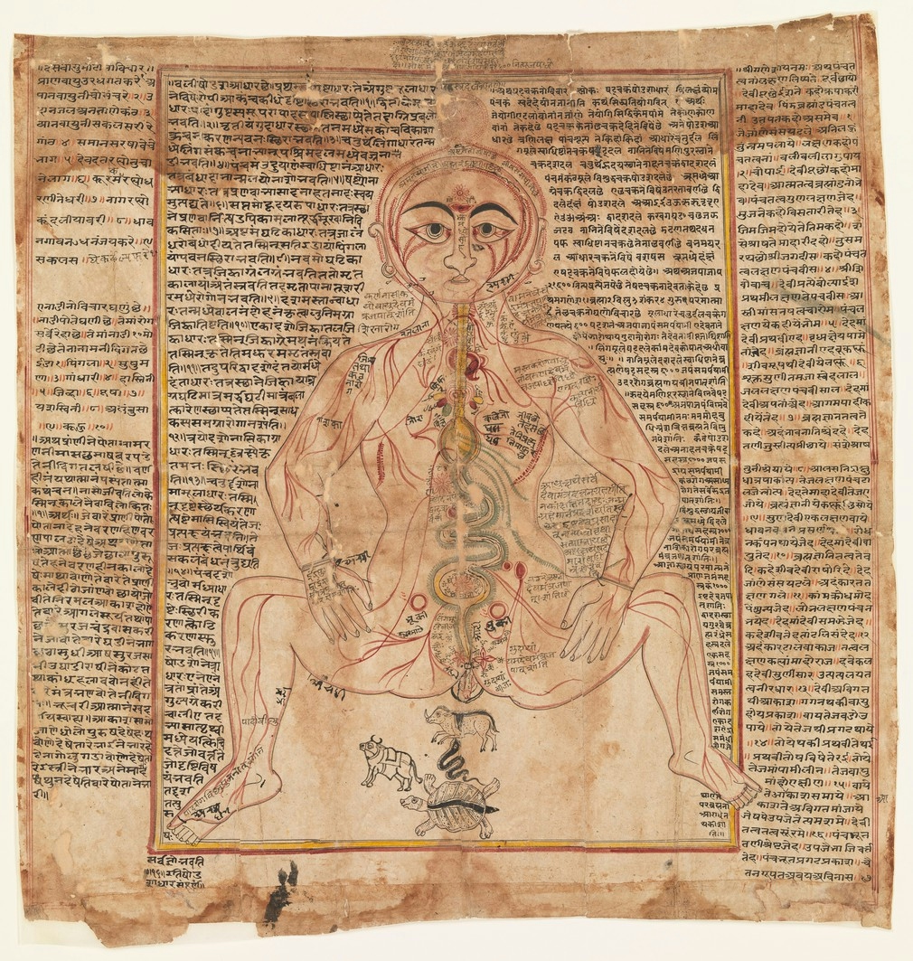 Image of diagram of the human body in red ink surrounded with animal drawings and text.