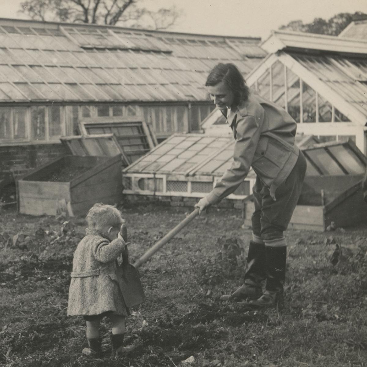 Black and white photograph showing three women hoeing some land, with a small child in the foreground holding a large trowel. Two large glasshouses stand behind them.