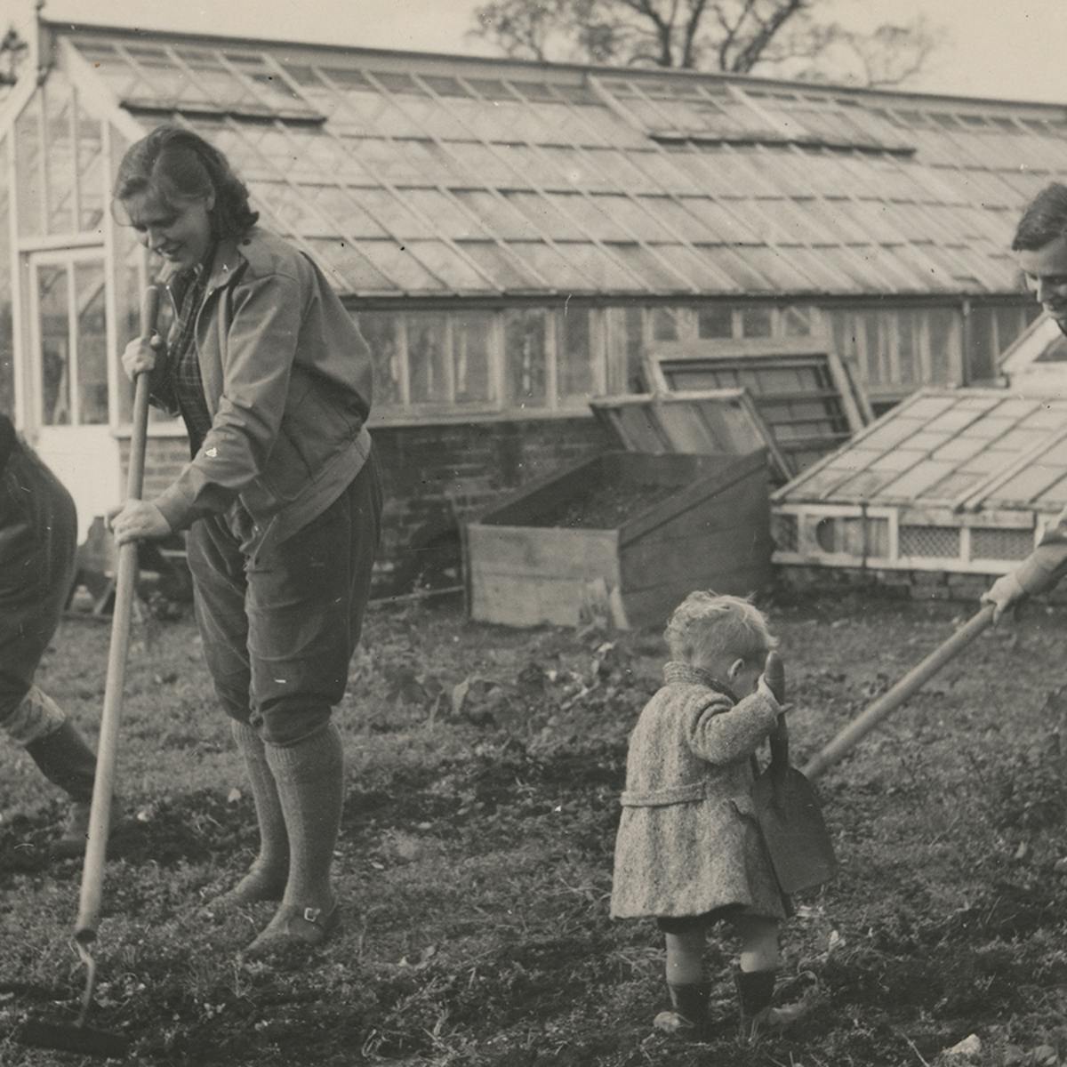 Black and white photograph showing three women hoeing some land, with a small child in the foreground holding a large trowel. Two large glasshouses stand behind them.