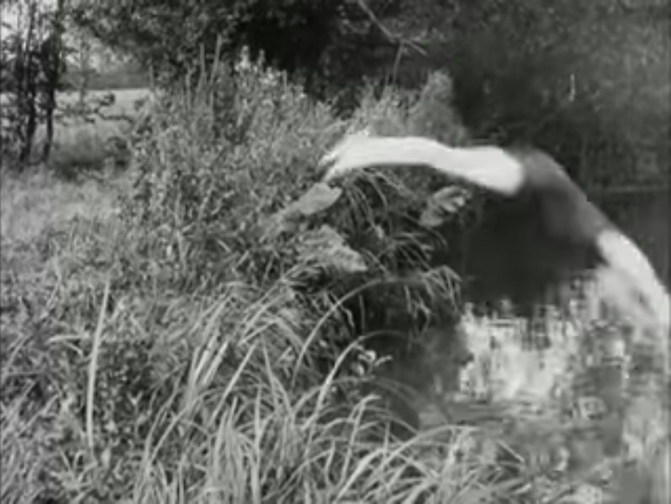 Black and white still from a film showing a man diving from a grassy area into a pond.