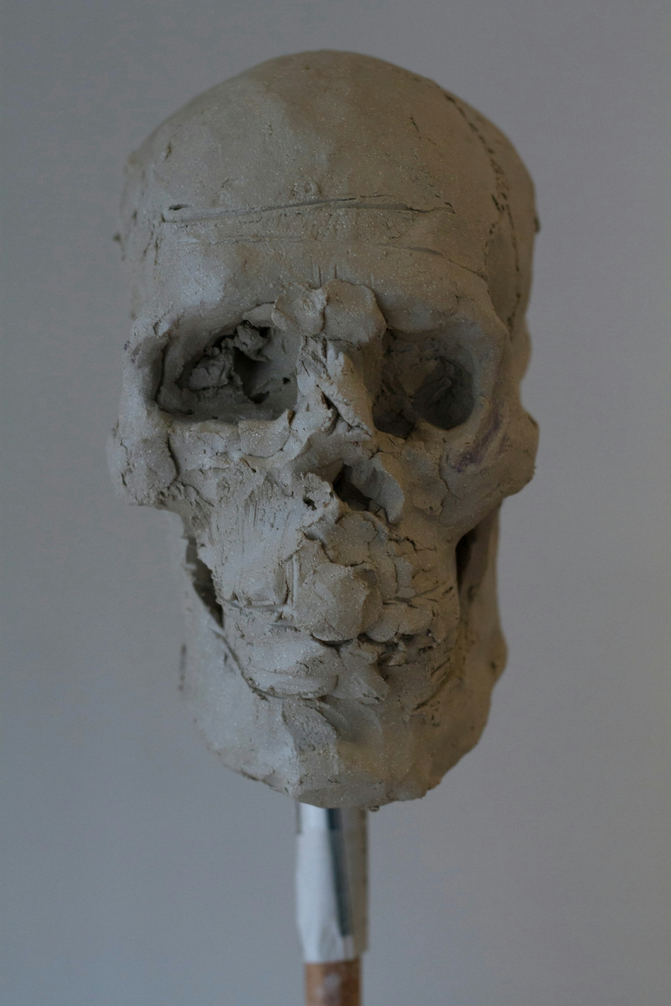 This image forms part of a series of work titled "Stranger than a Wolf" showing the gradual anatomical creation of a human head in clay.