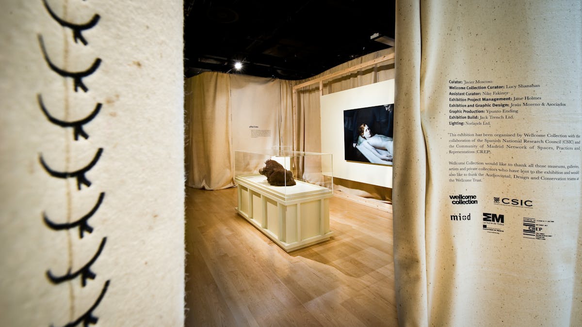 Photograph showing part of the exhibition, Skin, at Wellcome Collection.