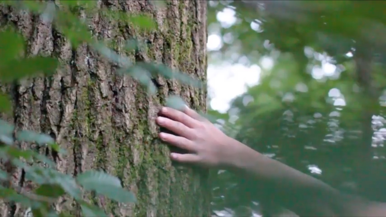 Film still from  'The Roots' a RawMinds film project showing a hand on a tree trunk.