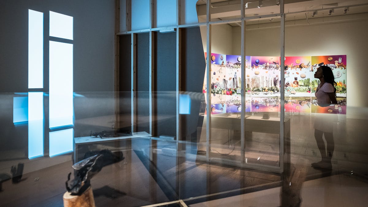 Photograph of a young woman exploring the exhibition, A Museum of Modern Nature at Wellcome Collection.