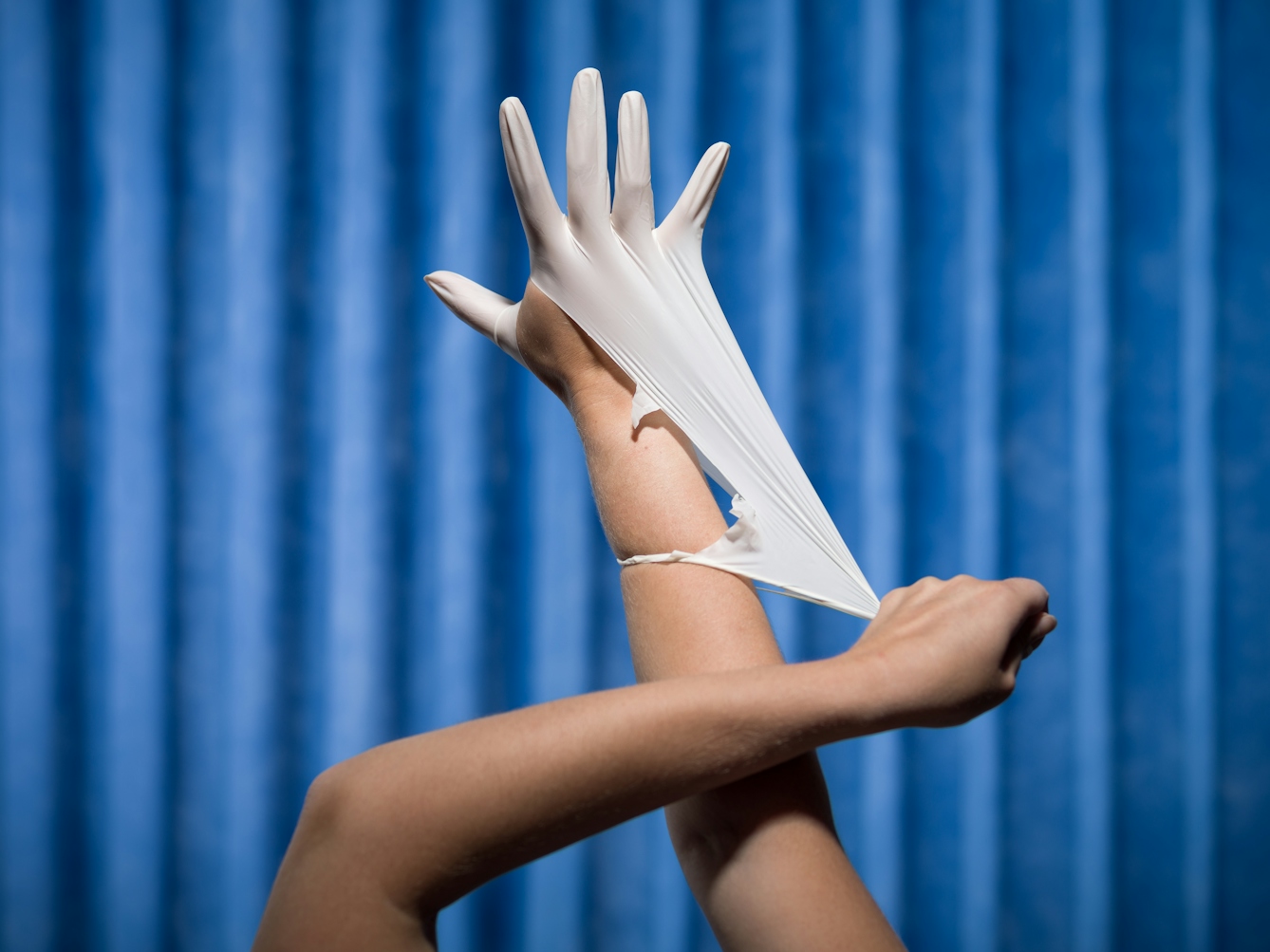 Photograph of a pair of hands, one hand is wearing a white latex glove, while the other stretches the cuff of the glove such that it is tearing. Photographed against a background of blue antibacterial clinical curtains.