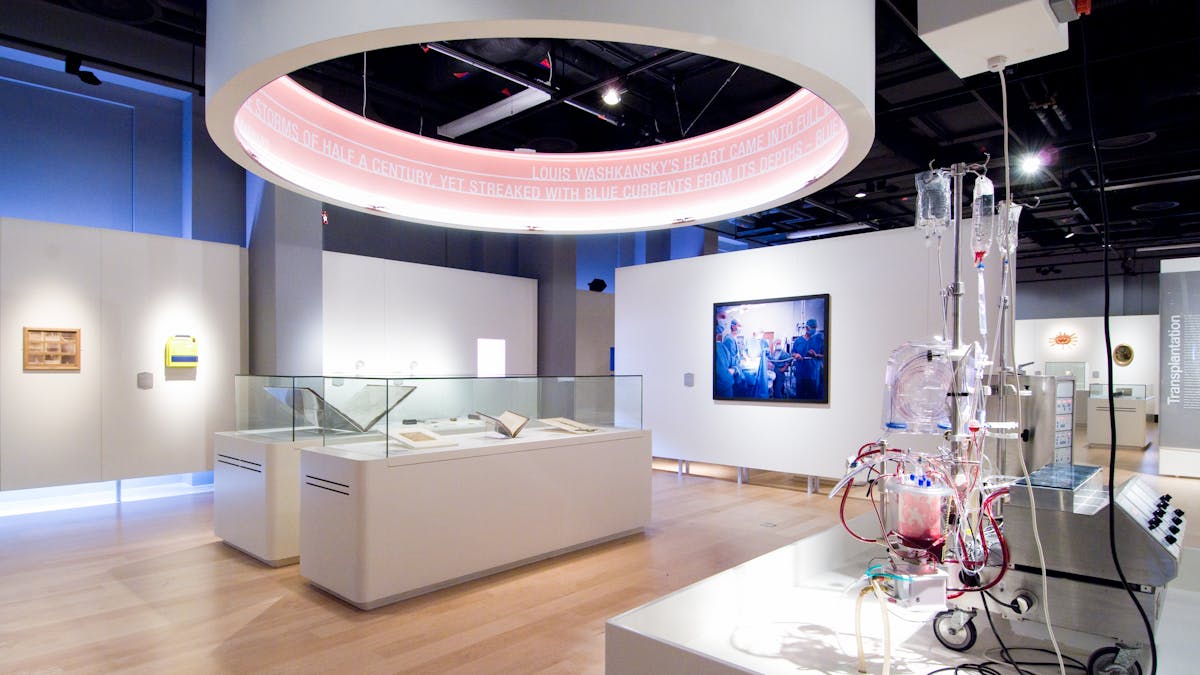 Photograph of The Heart exhibition gallery at Wellcome Collection.