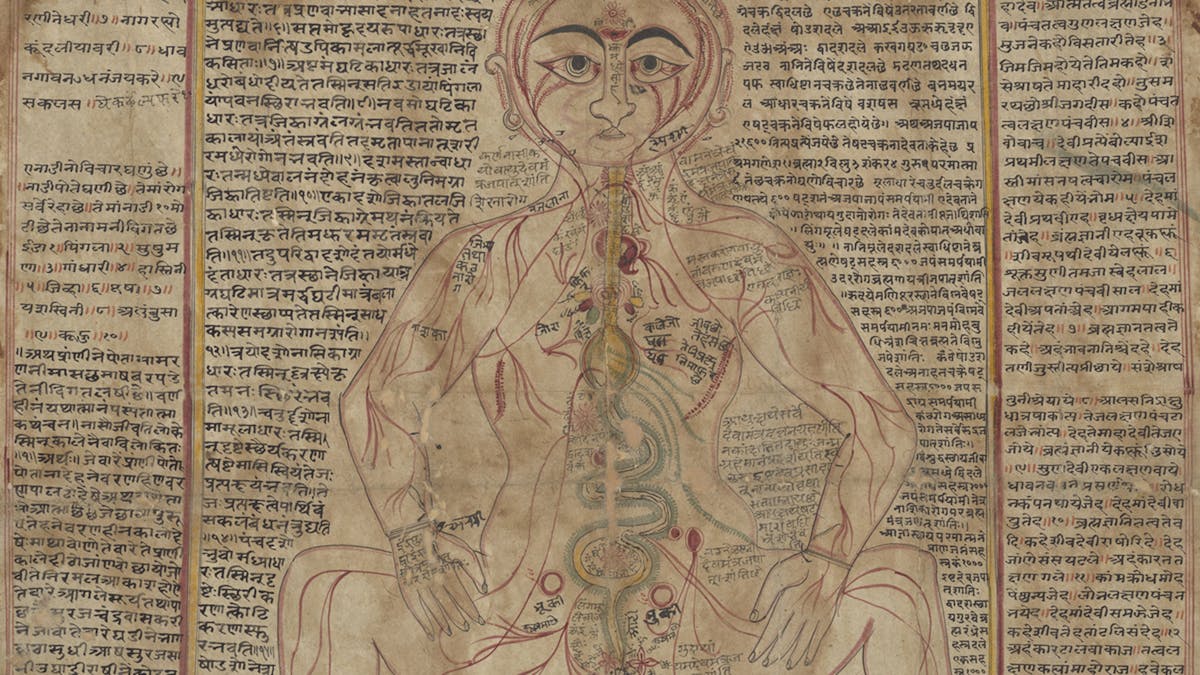 A colour anatomical drawing of a human body, seated with legs bent and open, is surrounded by text, written in Sanskrit and Old Gujarati.