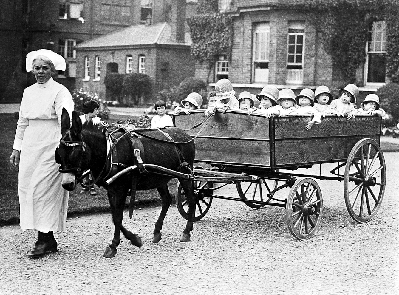 Black and white photograph showing a dark brown donkey pulling a wooden cart with several young children in it (all wearing hats). the donkey and cart is being led by a female nurse wearing a white, ankle-length apron.