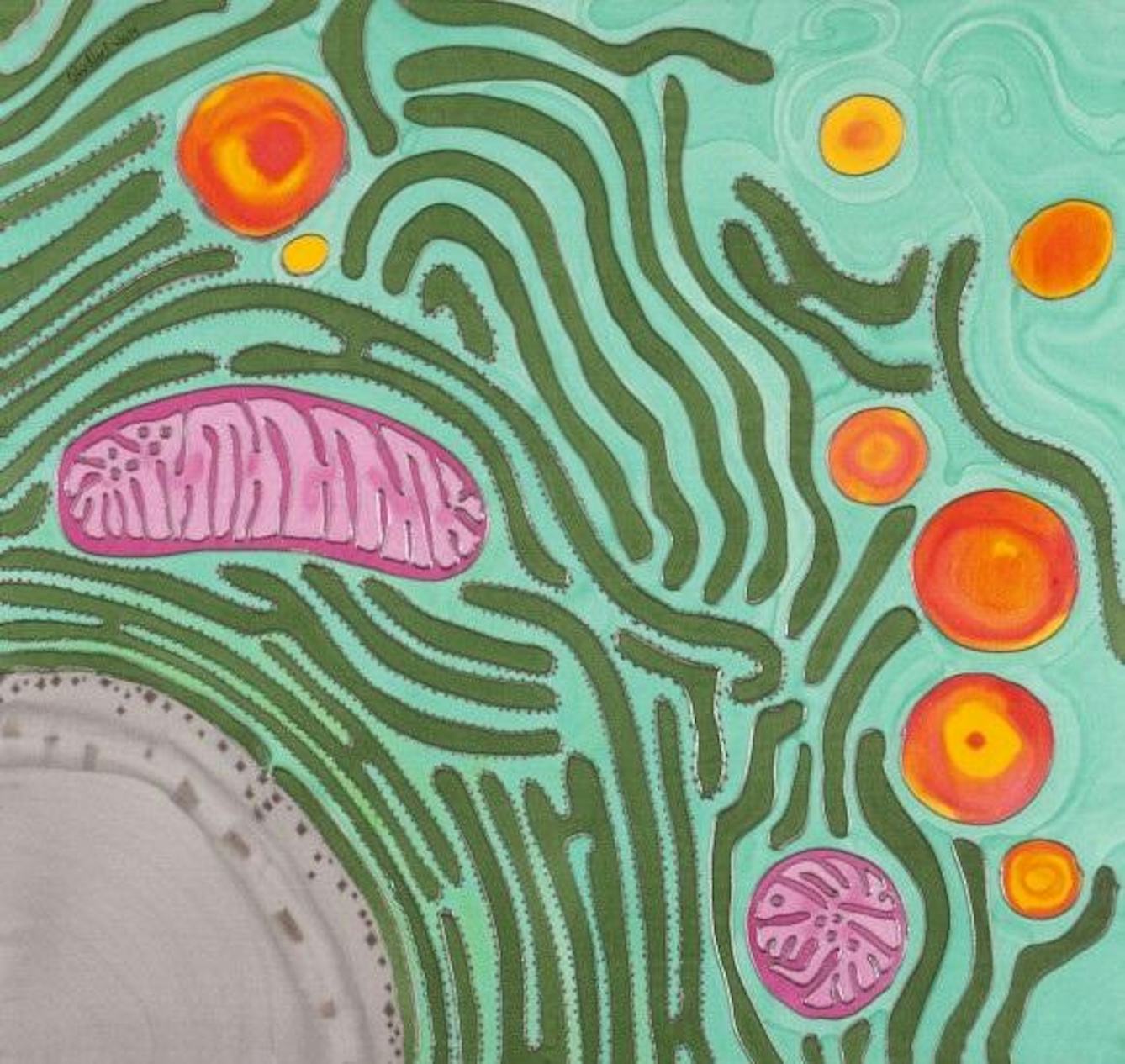 An colourful illustration of some cells swimming about