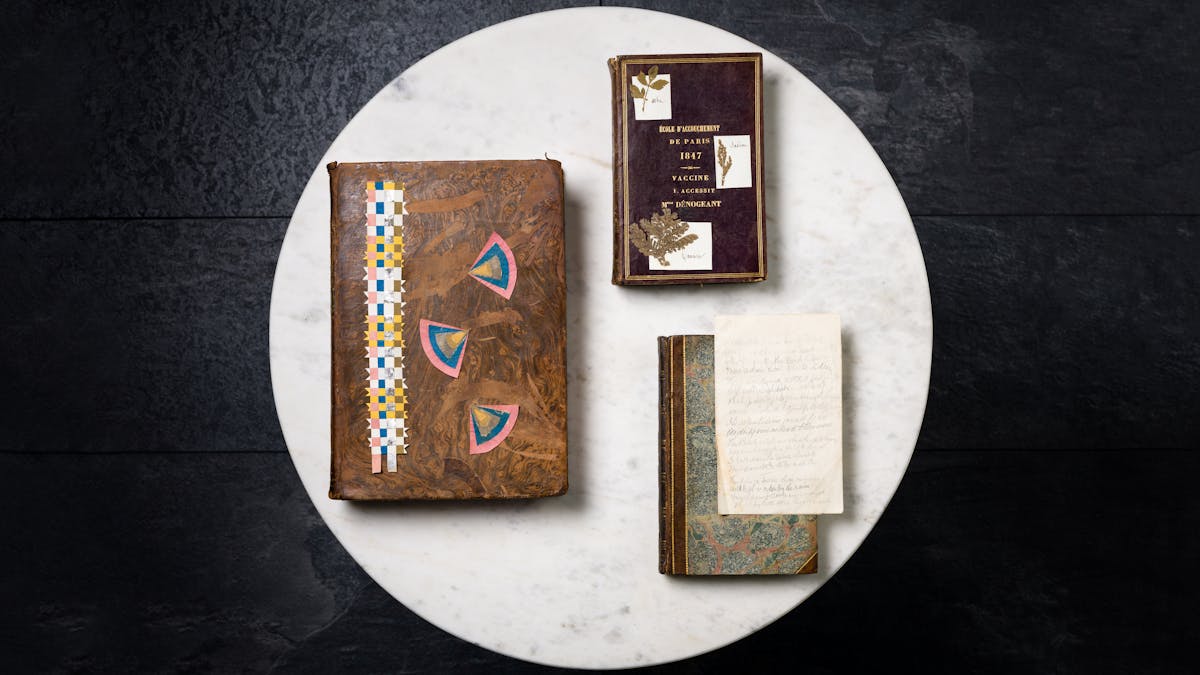 Three old books displayed on a marble tabletop, each with items on top. The first has some paper jewellery, the second has three pressed plants with name labels, and the final one has a sheet with pencil verse scribbled on it.