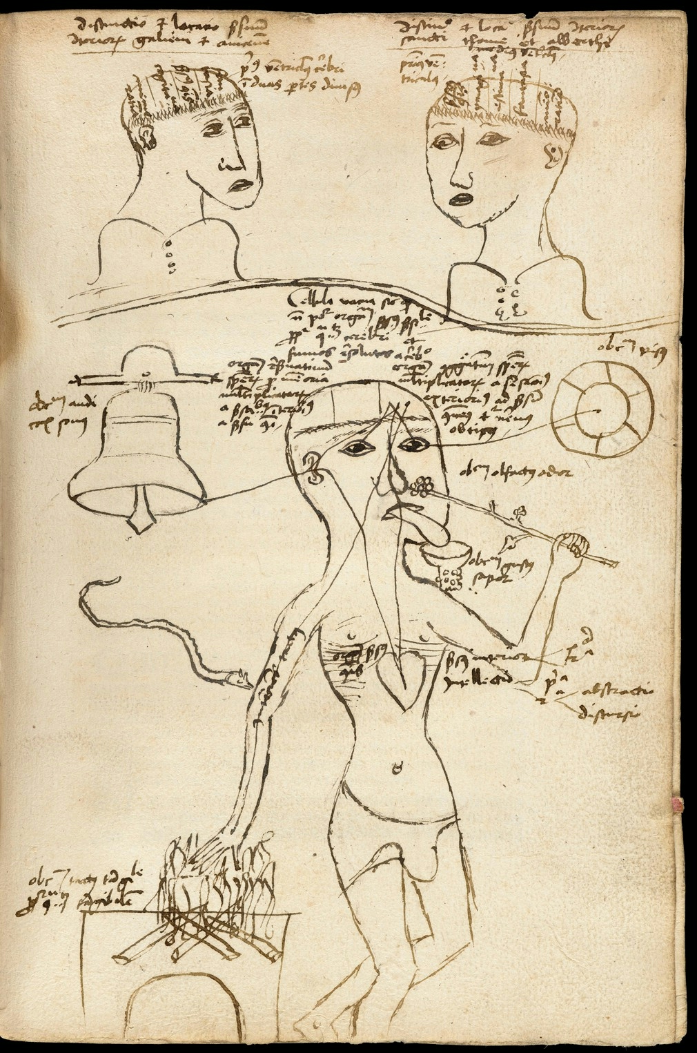 Image of parchment with loose ink drawings of two human heads at the top and a full body below with labels and text