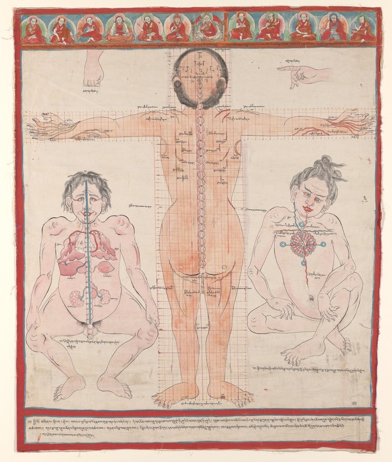 Image of colour drawing of human anatomy on three bodies, one in the middle showing his back, and two smaller bodies facing forward either side.