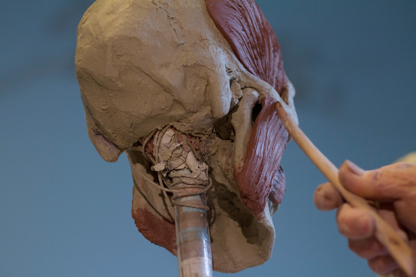 This image forms part of a series of work titled "Stranger than a Wolf" showing the gradual anatomical creation of a human head in clay. 