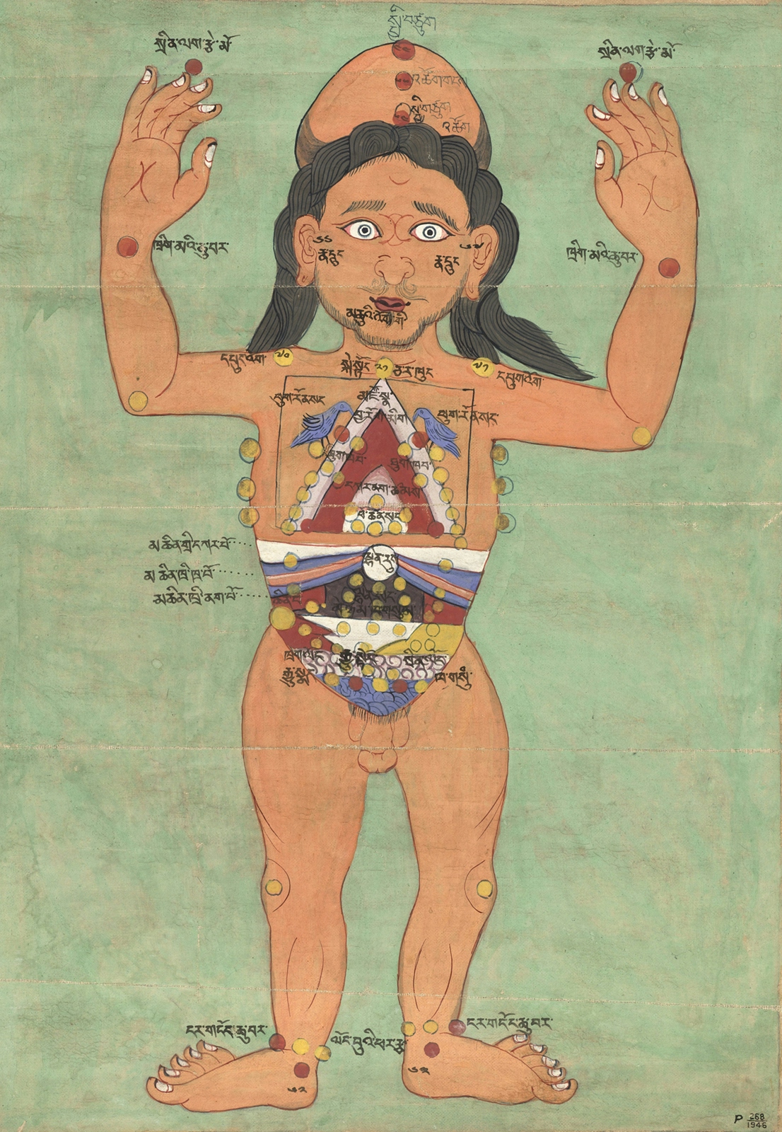 A colour illustration showing a naked man with his arms raised, with several points marked on his body in different colours.