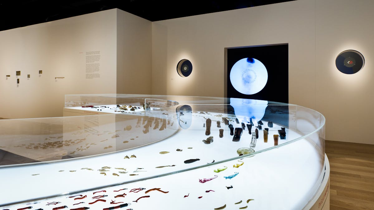 Photograph of an exhibition display case containing a selection of amulets, which formed part of the exhibition, Charmed Life: The Solace of Objects at Wellcome Collection.