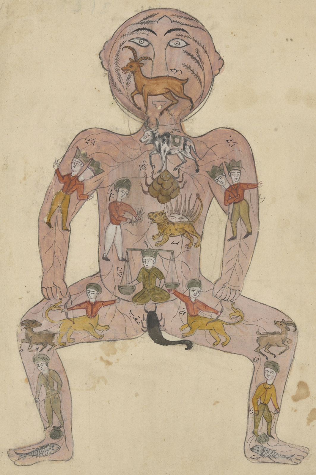 A colour illustration of a man face on, with the signs of the zodiac drawn all over his body.