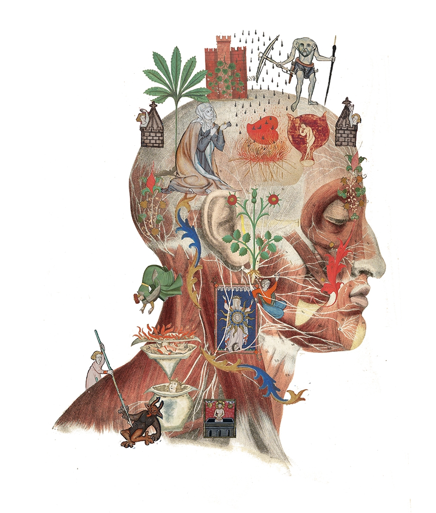 Medieval Bodies book cover design in progress