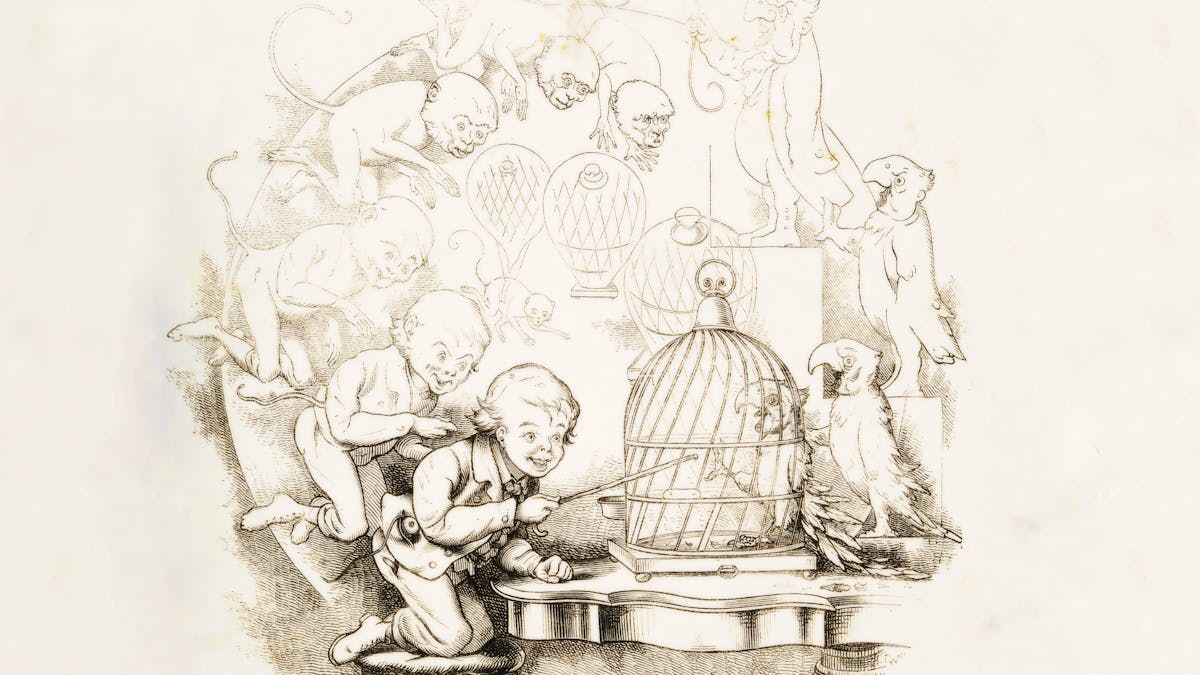 Engraving on cream paper of a monkey (top centre) transforming in phases going anticlockwise around the page into a boy who is depicted at the bottom of the image poking a stick into a parrot cage.