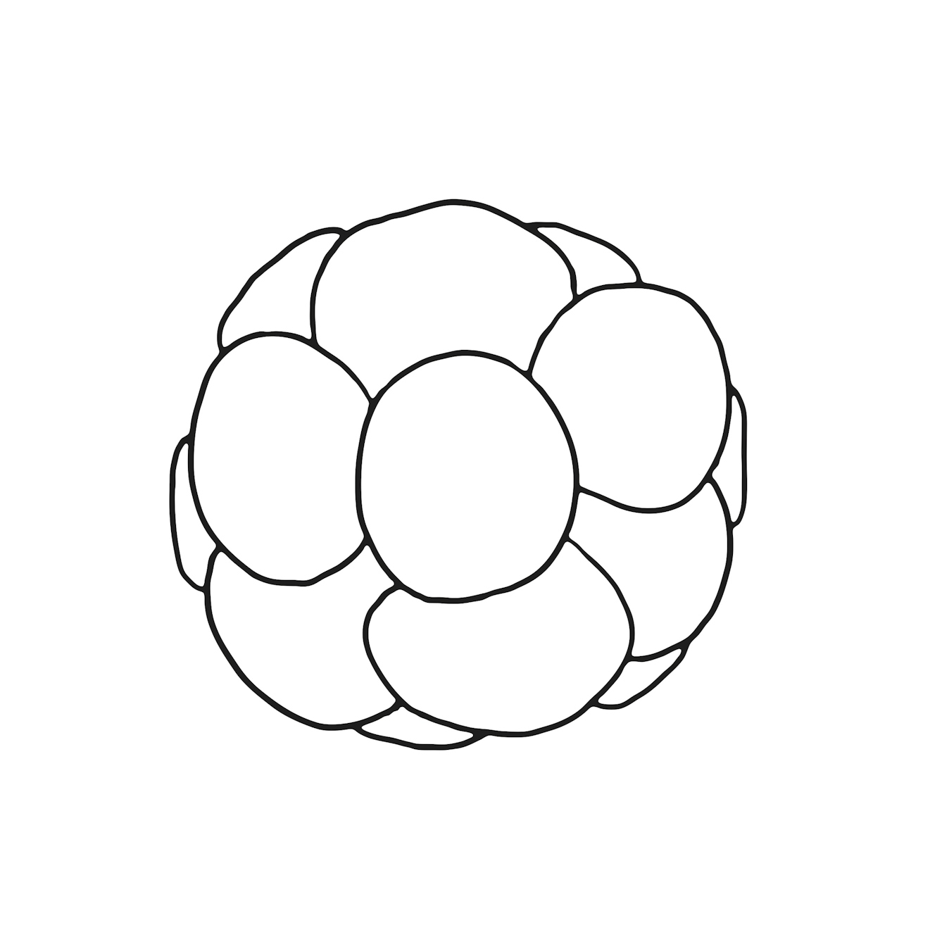 Line illustration of round shape made of circles bunched together - representing cells dividing