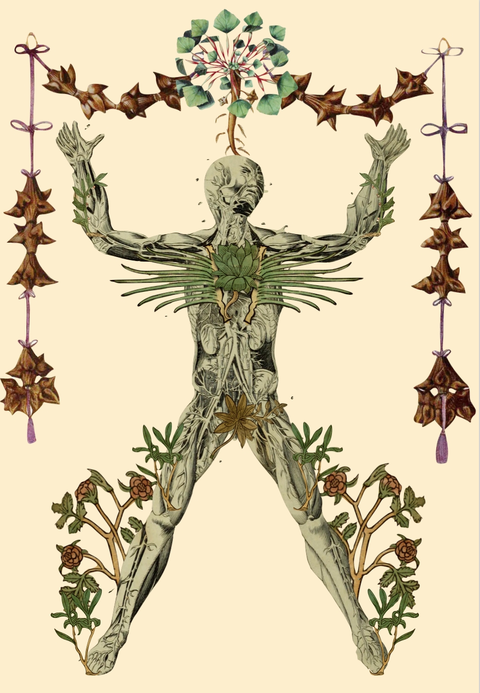 Early illustration for the Medieval Bodies cover