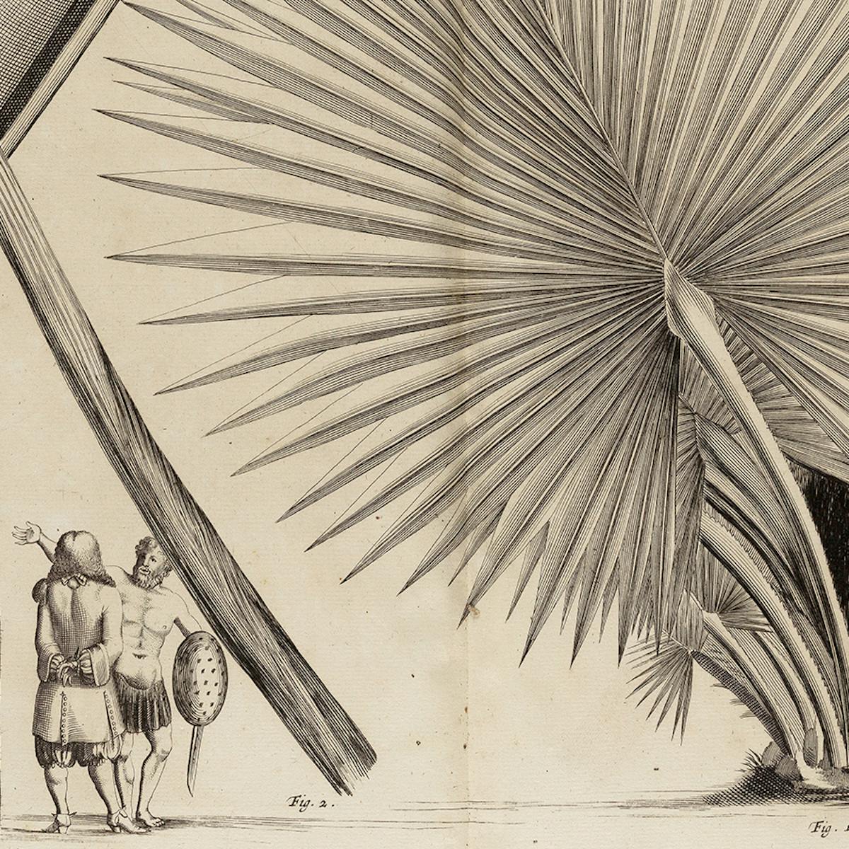 A page from Hortus Indicus Malabaricus showing an Indian man talking to a European in one corner next to a large palm tree