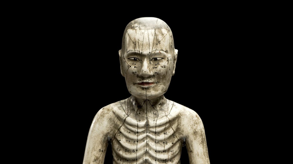 Close up image of the head and shoulders of a human figure made from papier mache with acupuncture points marked on it.