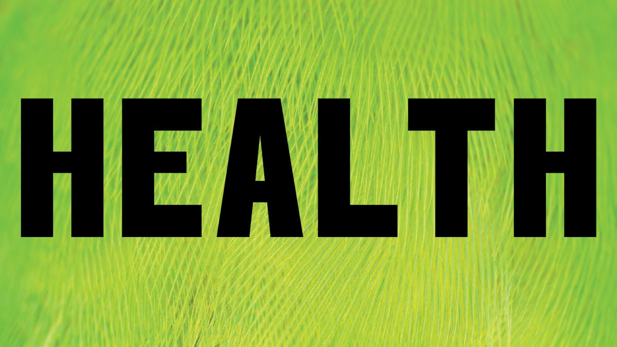 Bright green and black image displaying the word 'Health'