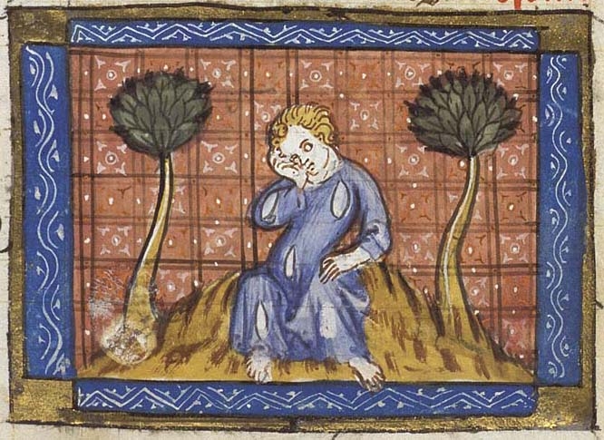 Medieval manuscript image of a person sitting between two trees weeping.