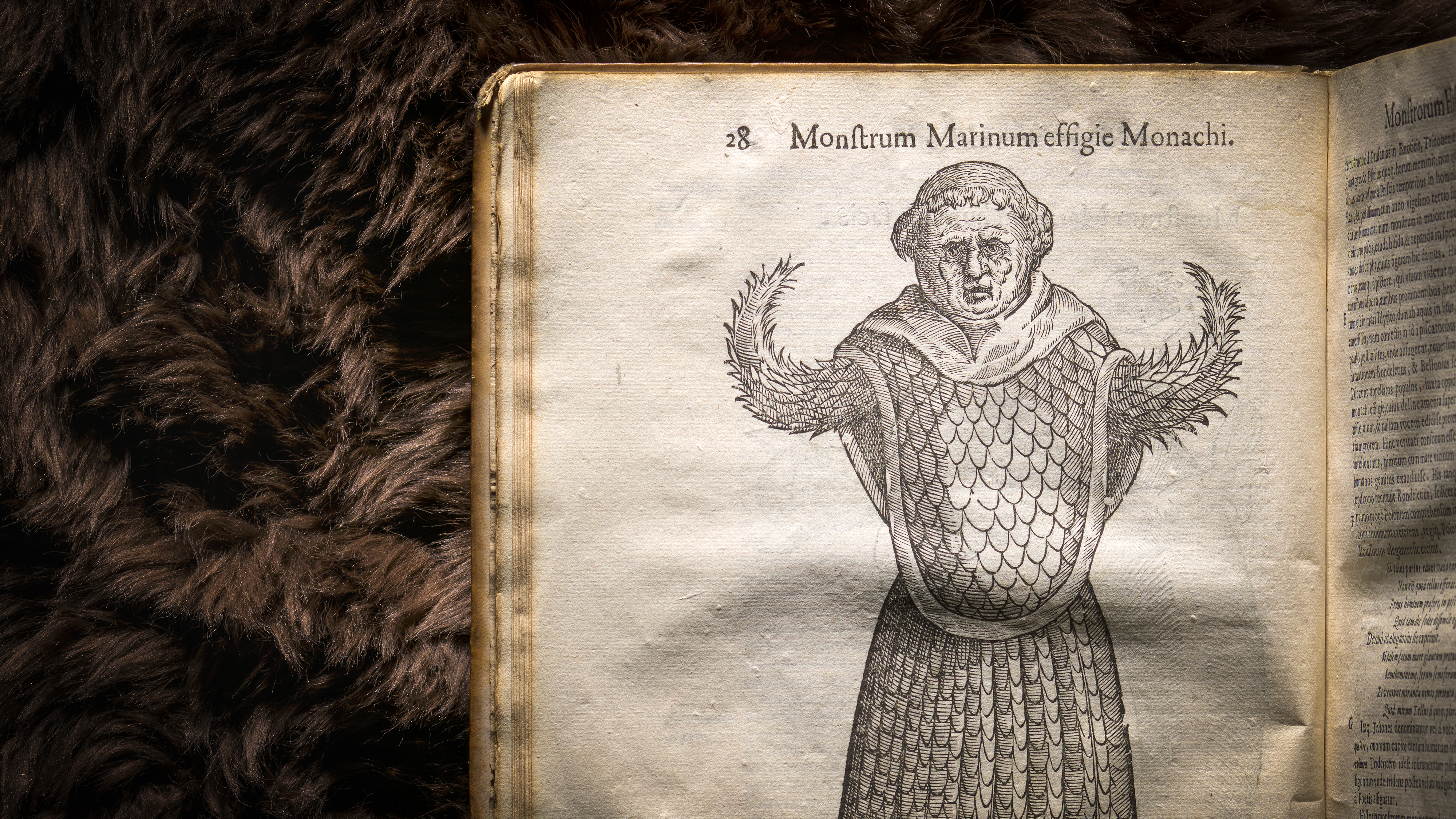 Photograph of an illustration in a 17th century early printed book, of an imagined monster. Behind the book is a brown fur background.