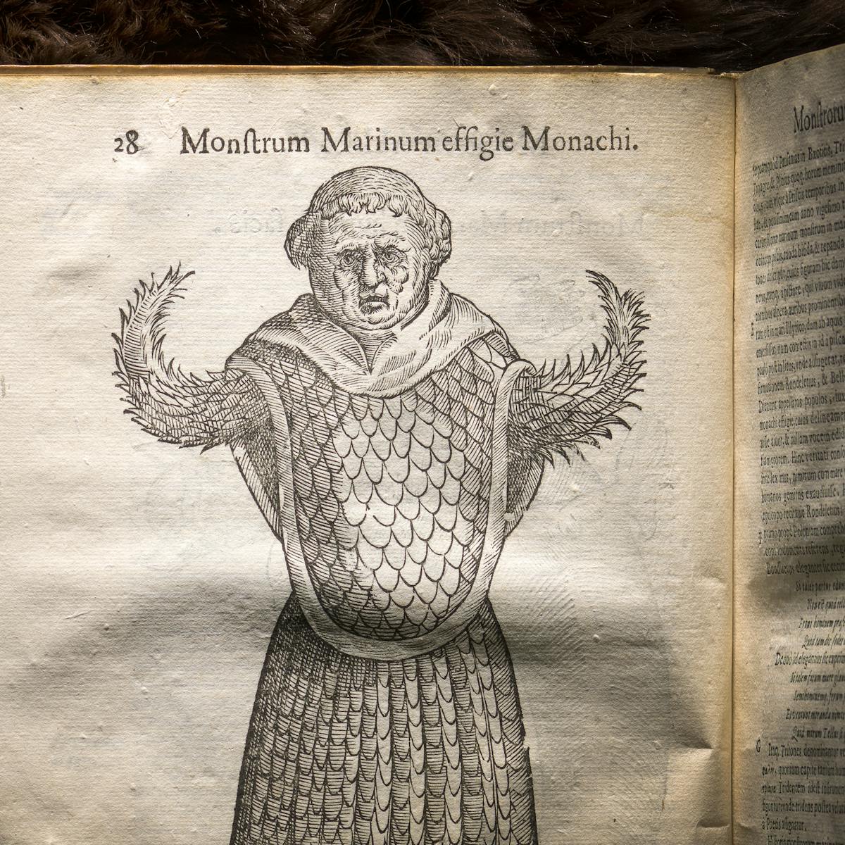 Photograph of an illustration in a 17th century early printed book, of an imagined monster. Behind the book is a brown fur background.