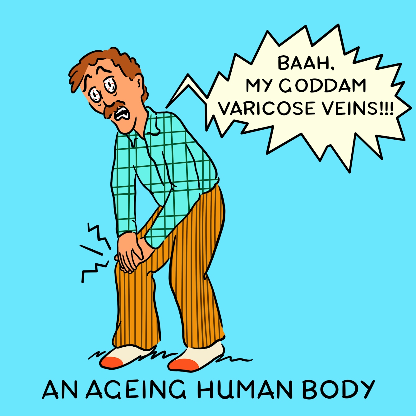 Panel 4 of a four-panel comic drawn digitally: a man with a plaid shirt, moustache, and bloodshot eyes clutches his right knee and exclaims "Baah, my goddam varicose veins!!!". The caption text reads "An ageing human body"