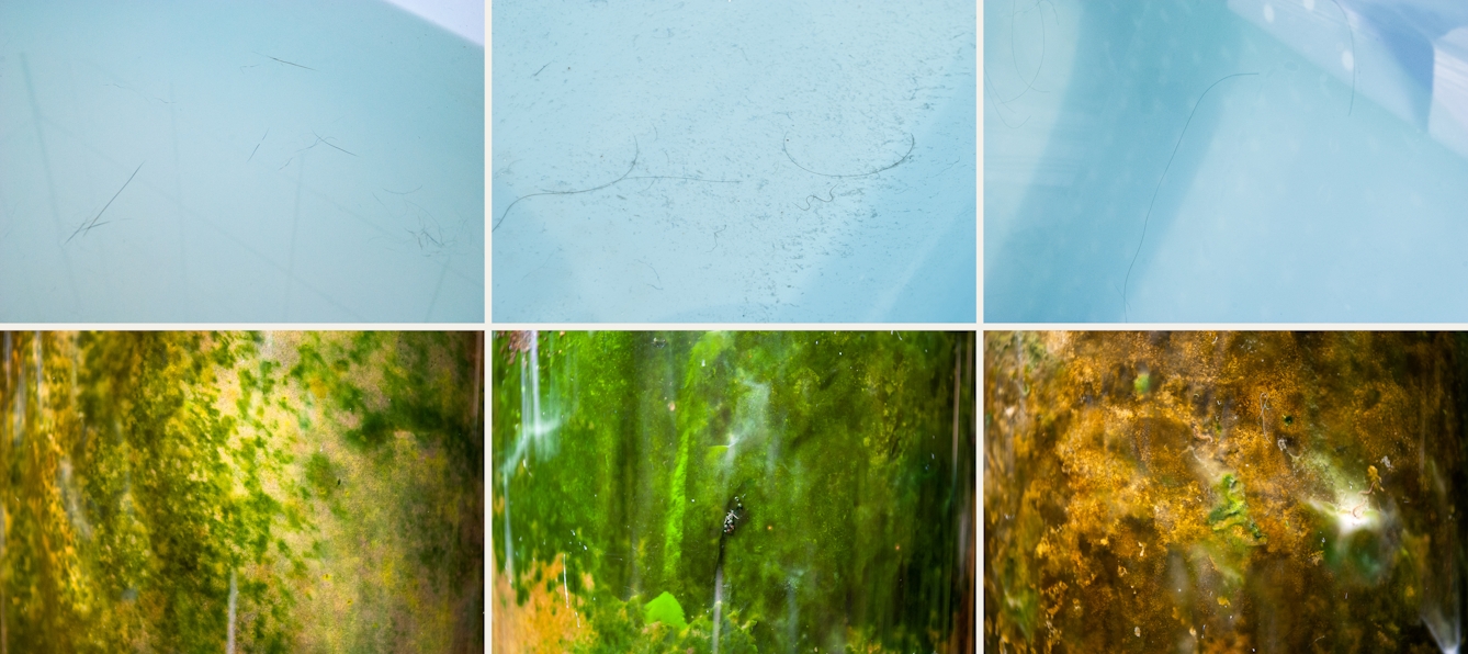 Photographic sextych made up of two rows of three images. The top row of images show close-up abstract images of a bathtub containing water and human hairs, soap and skin scum. The overall tone of the images is a light blue. Shadow lines and reflections cover the images. The bottom row of images show close-up underwater scenes from nature, rock, algae, fungal growth and plant life . The overall tones are greens, yellows, browns and oranges.