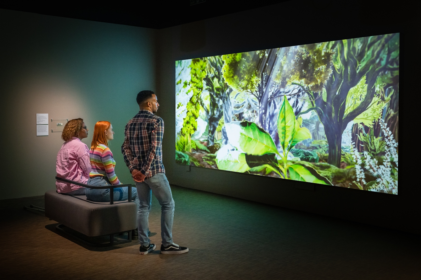 Photograph of 3 exhibition visitors looking at a large projected video in an exhibition gallery setting. Two visitors are sat on a bench whilst the other stands to one side. On the screen is an animation showing a green lush forested landscape, some of which is starting to turn white.
