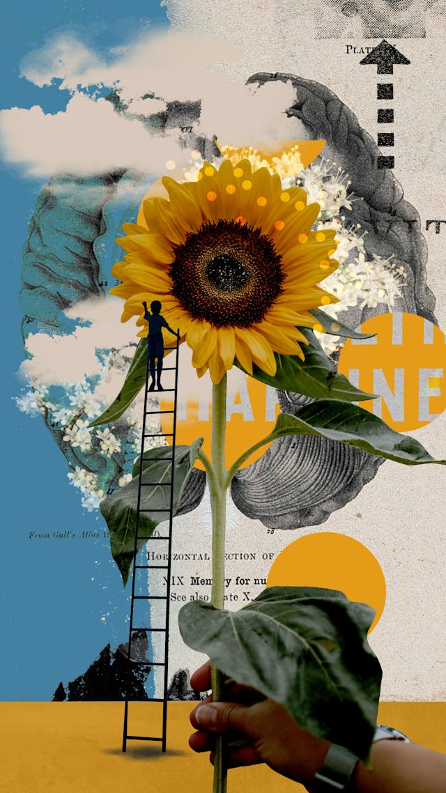 Colourful collage artwork with various elements.

The central image is a large sunflower, held by a hand. There is a black ladder stretching to the sunflower with a person standing on it. 

Behind the sunflower is an etching of the human brain and an arrow pointing upwards. The left side of the image has a blue cloudy sky as the background. 